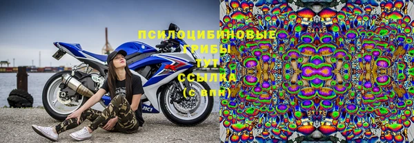 прущая мука Дмитриев