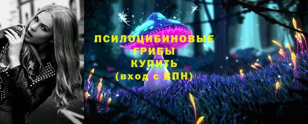 прущая мука Дмитровск