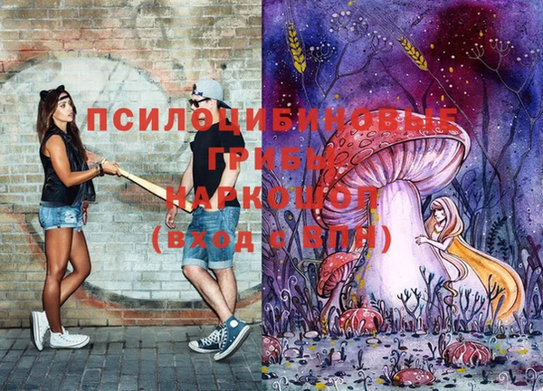 прущая мука Дмитриев