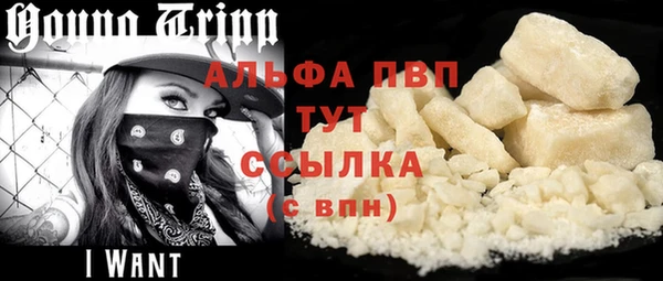 скорость Ельня