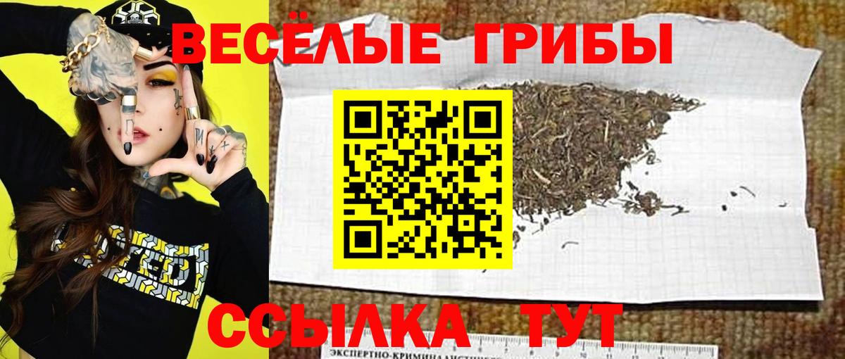 Орск  Псилоцибиновые грибы мухоморы  Вход с VPN 